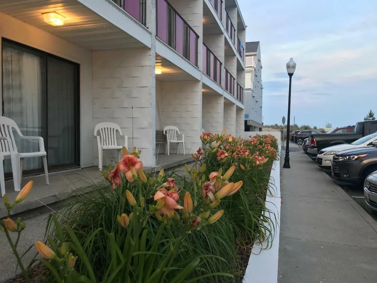 Simple Life Motel Ocean City 2*,